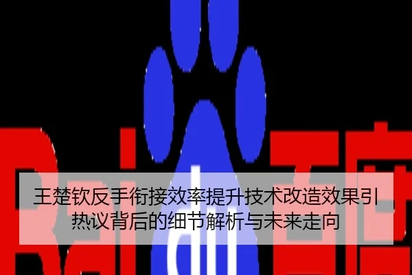 王楚钦反手衔接效率提升技术改造效果引热议背后的细节解析与未来走向